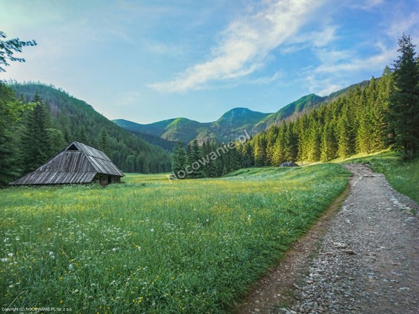 Tatrzański Park Narodowy Zakopane - Nocowanie.pl